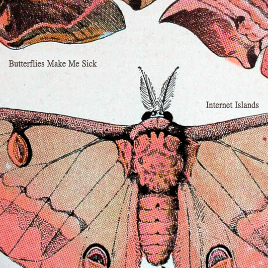 Butterflies Make Me Sick - Digital Download + Album Art
