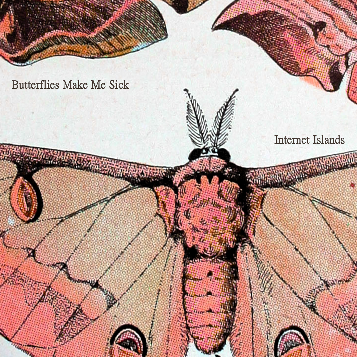 Butterflies Make Me Sick - EARLY ACCESS TO MUSIC VIDEO + Digital Download + Album Art